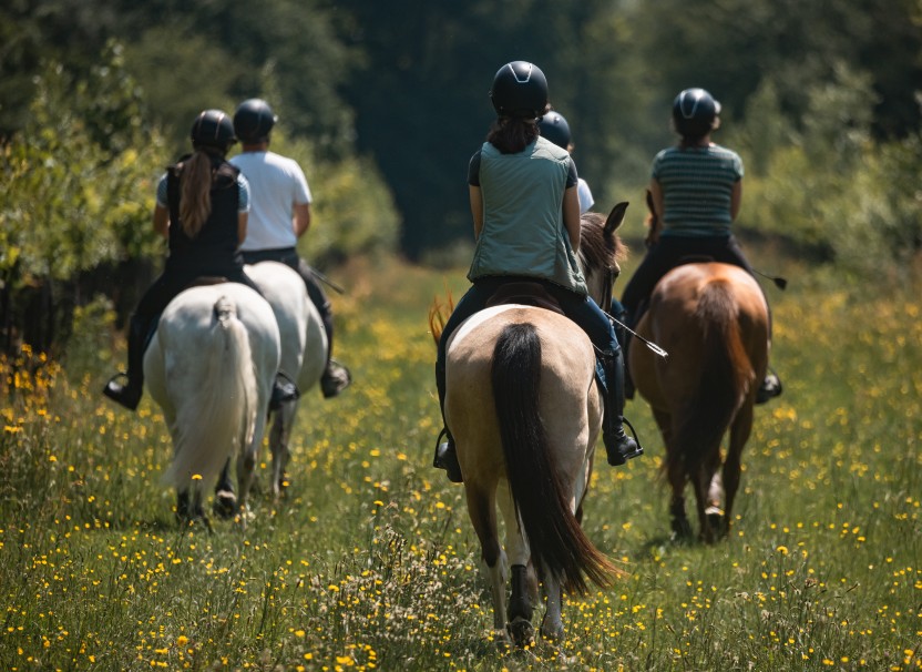 Groupe de cavaliers en balade à cheval dans la campagne du Brévedent en Normandie.