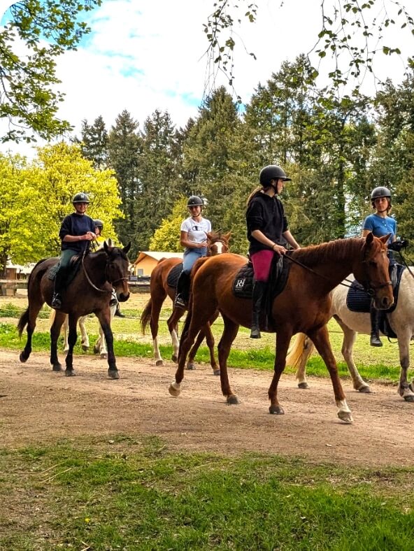 Balade à cheval dans le Calvados près de Pont-l’Évêque au centre équestre du Brévedent.