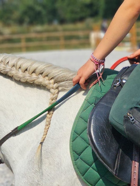 Gros plan sur un cheval et la main d’un cavalier lors d’un cours d’équitation au Brévedent.