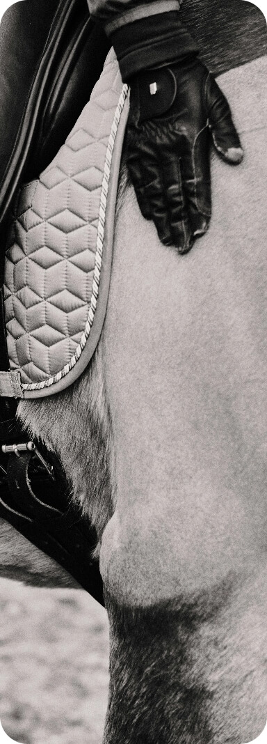 Gros plan sur la selle et la main d’un cavalier lors d’un cours d’équitation.
