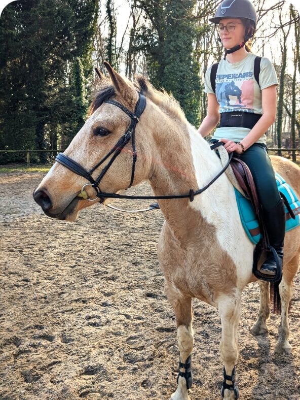 Cavalier avec son cheval en carrière dans une pension équestre au Brévedent.