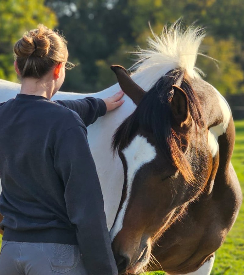 Moment calme entre une cavalière et son cheval en pension au centre équestre du Brévedent, dans le Calvados.