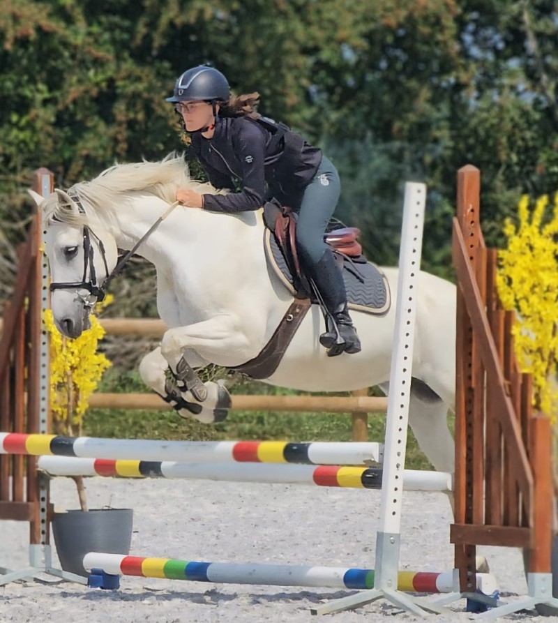 Cours d’équitation – Saut d’obstacles au Brévedent