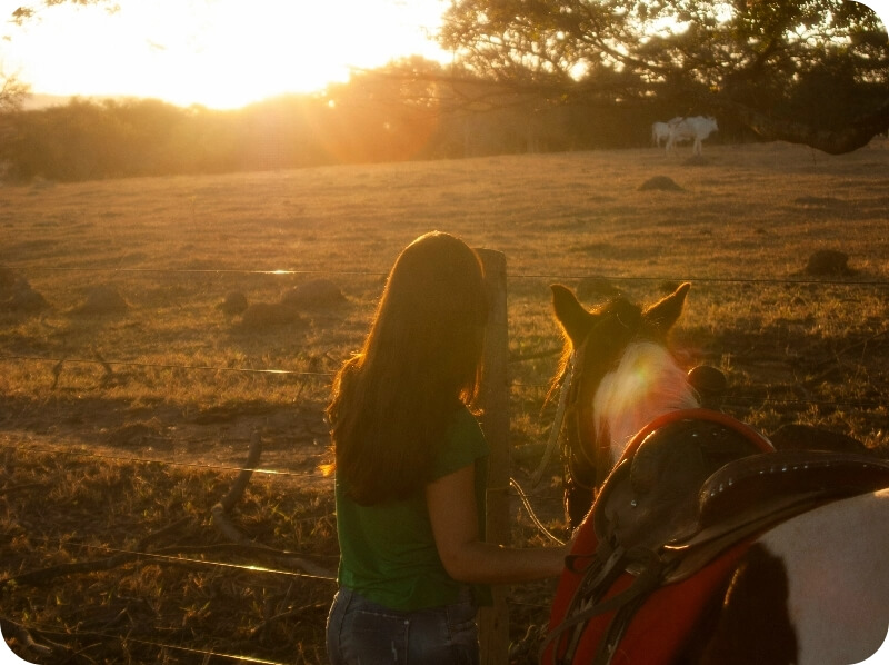 Cavalière avec son cheval au coucher du soleil lors d’un séjour en pension de passage dans le Calvados.