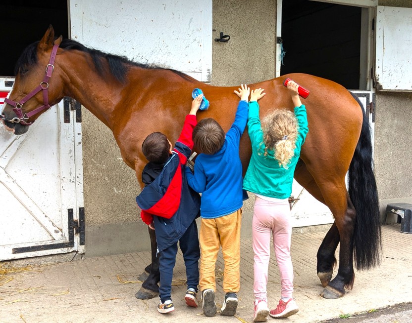 Séjour équitation en famille en Normandie – Le Brévedent Enfants s’occupant d’un cheval au centre équestre du Brévedent près de Lisieux dans le Calvados.