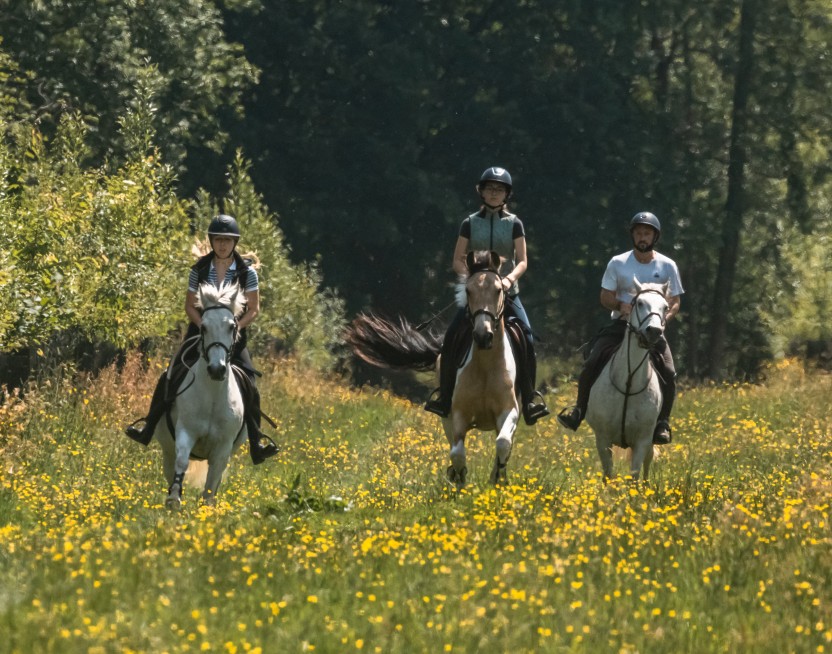 Séjour équitation en pleine nature en Normandie – Le Brévedent Séjour équitation en pleine nature au centre équestre du Brévedent près de Moyaux dans le Calvados.
